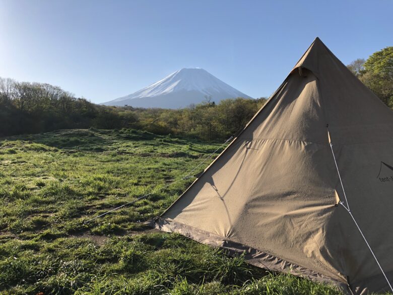 日差しの下で見たTC生地。側面の色や質感が分かります