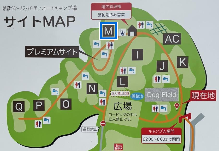 場内案内図で青枠に示されたMサイトの位置
