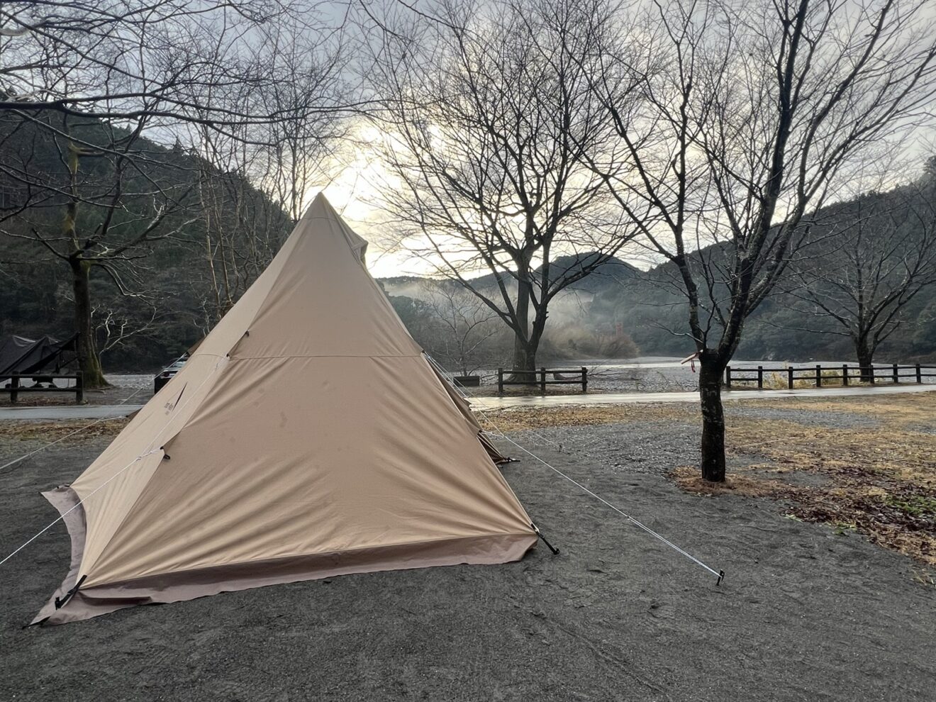 木のそばに設営したテントと手前へ伸びる張り綱